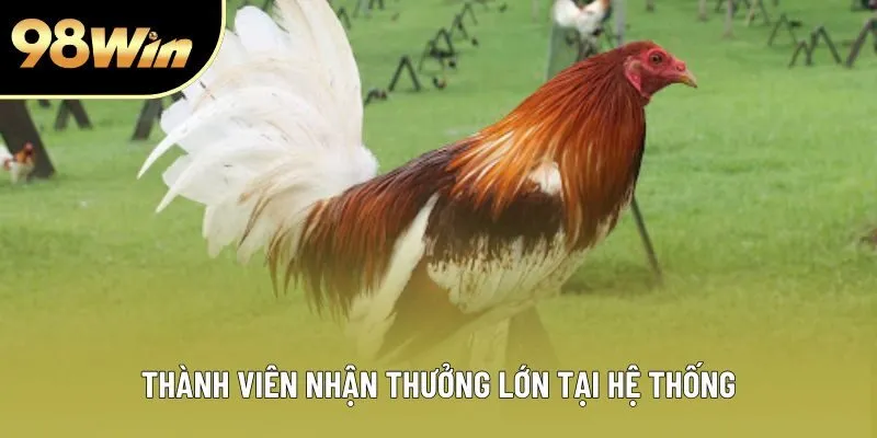 Thành viên nhận thưởng lớn tại hệ thống Thành viên nhận thưởng lớn tại hệ thống