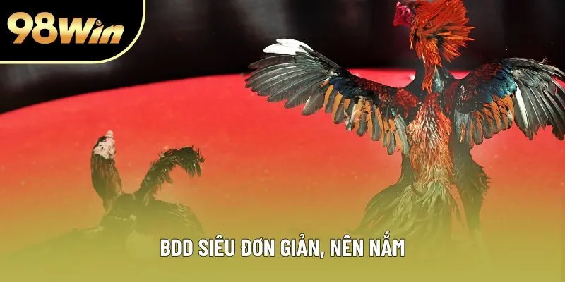 BDD siêu đơn giản, nên nắm