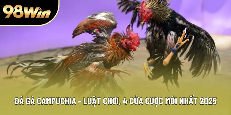 Đá Gà Campuchia - Luật Chơi, 4 Cửa Cược Mới Nhất 2025
