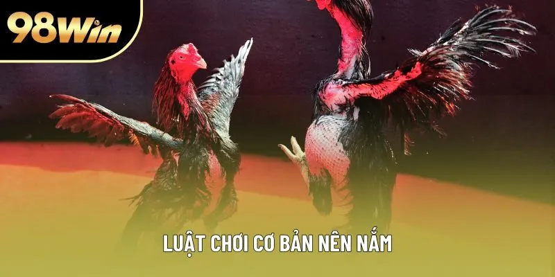 Luật chơi cơ bản nên nắm
