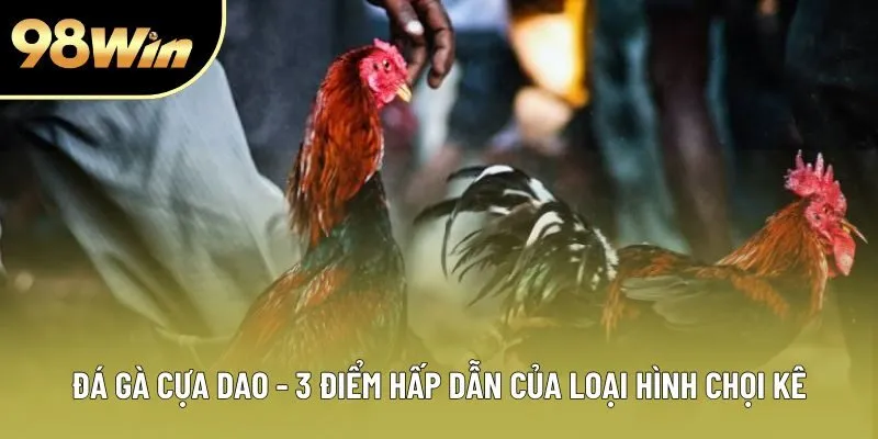 Đá Gà Cựa Dao - 3 Ưu Điểm Thu Hút Người Chơi Xem Trực Tuyến