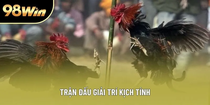 Trận đấu giải trí kịch tính