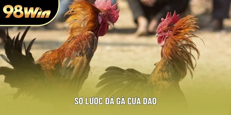 Sơ lược đá gà cựa dao