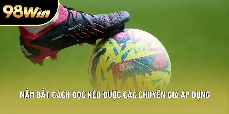 Nắm bắt cách đọc kèo được các chuyên gia áp dụng Nắm bắt cách đọc kèo được các chuyên gia áp dụng