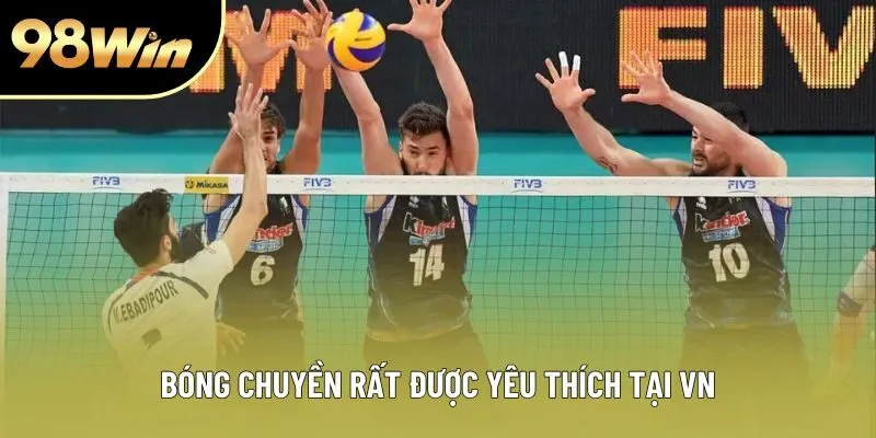 Bóng chuyền là kiểu kèo cực kỳ được yêu thích tại Việt Nam